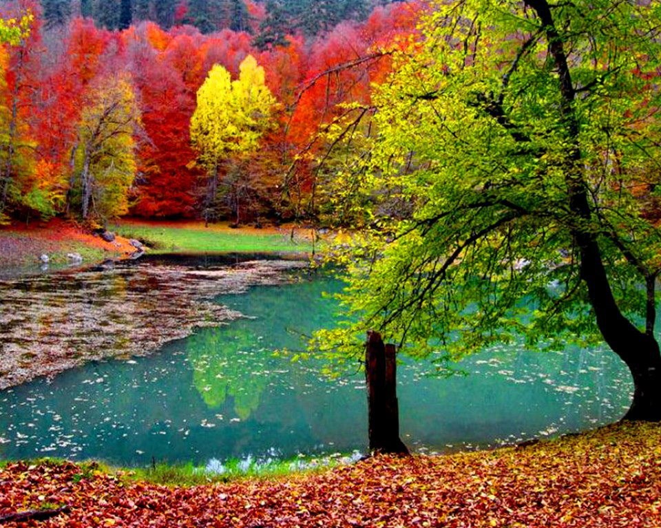 Savršena jesen: Pravo doba za romantiku i šetnje u dvoje