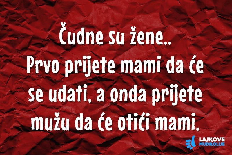 Ne pokušavaj shvatiti, samo voli