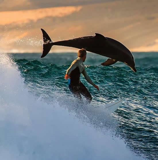 Tražimo inteligentan život? Evo nam ga pod nosom!