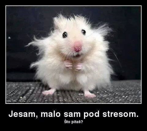 Imate već planove za Novu?