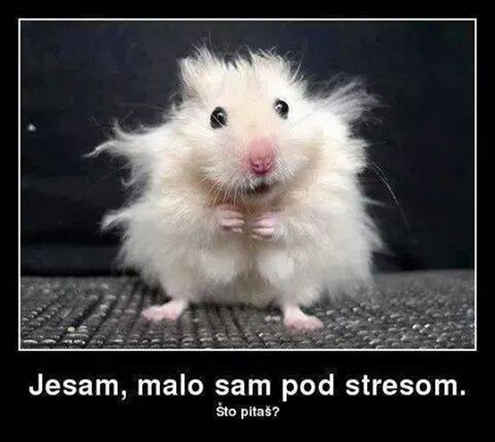 Imate već planove za Novu?