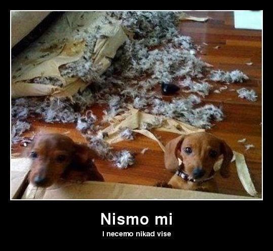 Nevinost im se oslikava u očima