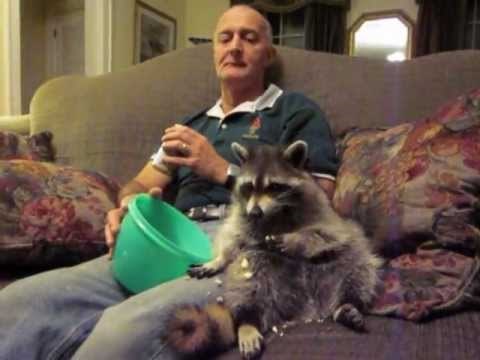 Our Loki, Our Sunshine...video