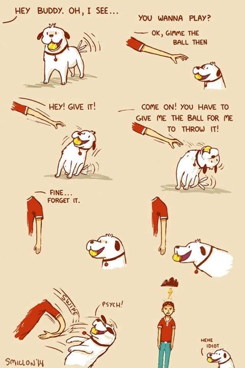 Za psa si samo dobrohotni tutlek?