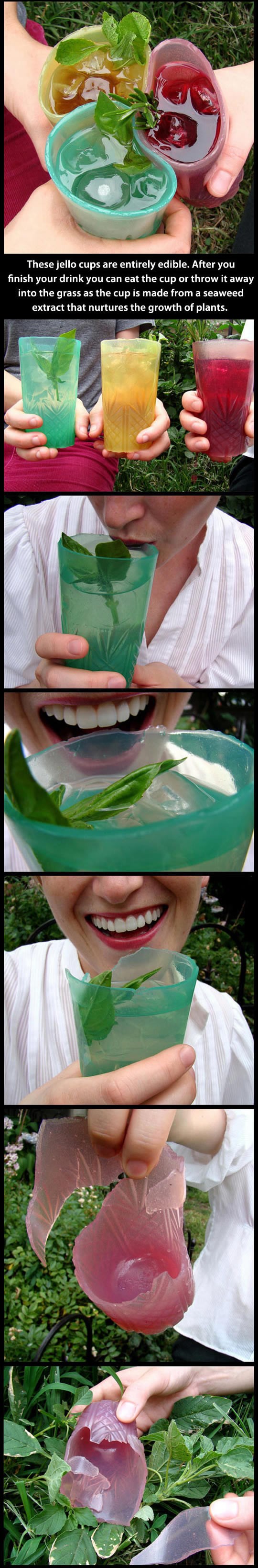 Jestive "plastične" čaše: Pojedi ili baci i nahrani biljke