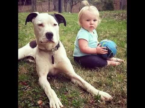 VIDEO: Godina dana sa najboljim frendom je neprocjenjiva