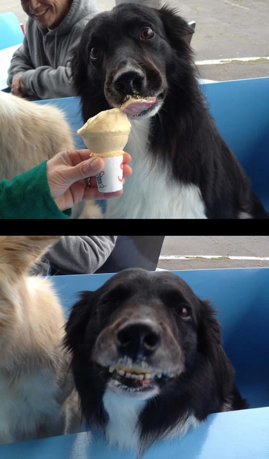 Neopisiva radost zbog finog slatkača