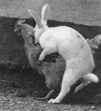 Kako nastaju uskršnja jaja: Sad znate pravu istinu