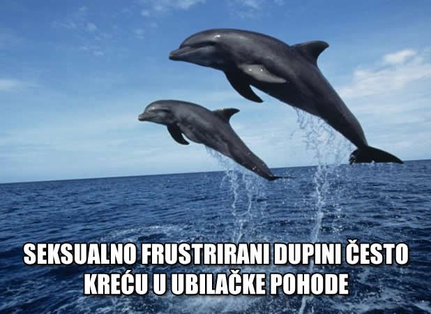 Dupini ubijaju zbog seksa