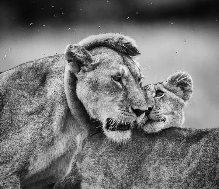 Obitelj je najvažnija...