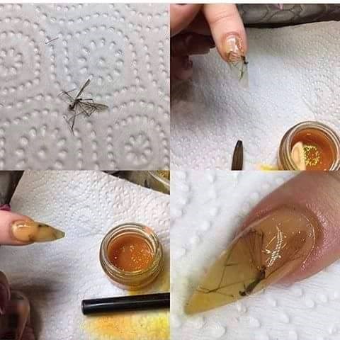 U današnjem je svijetu sve postalo moguće