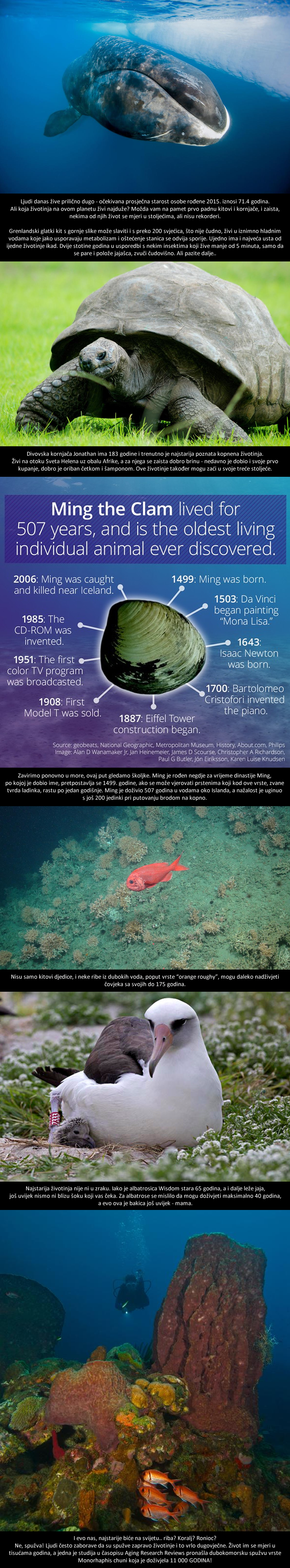Upoznajte životinju koja živi već 11 000 godina!