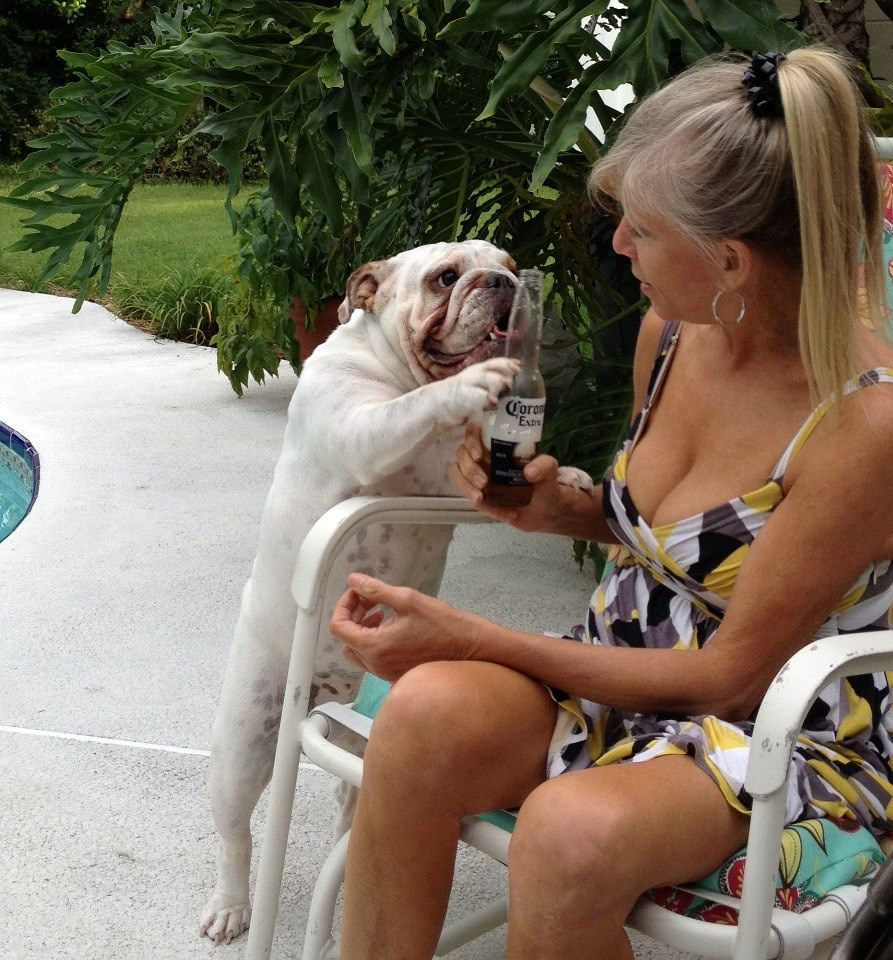 Mrzim vas sve, daj mi barem da se napijem..