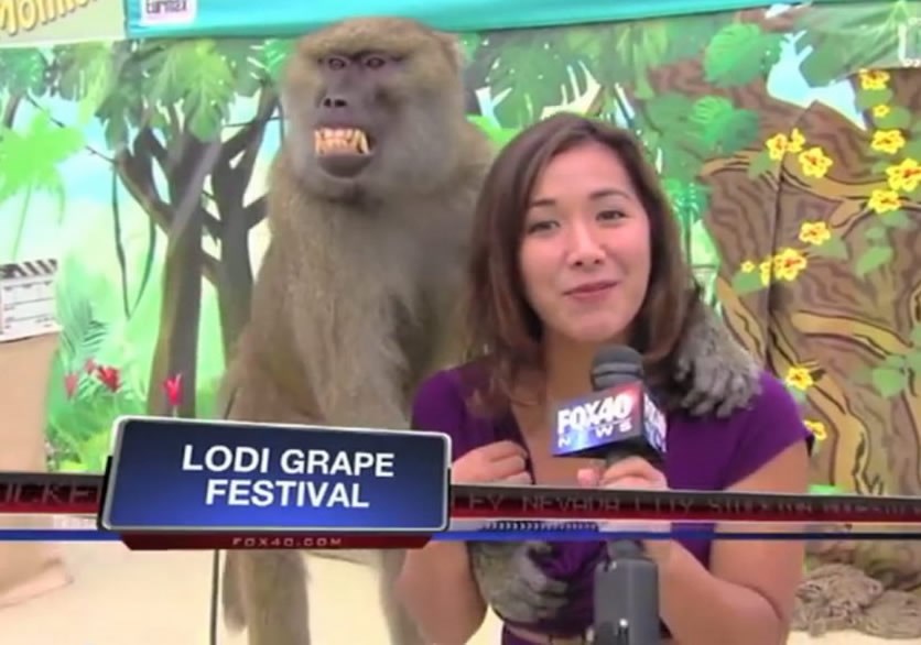 Majmun drpa sisu: Kad izađeš s curom, a netko je pogleda