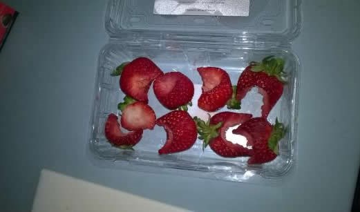 Šteta koju može napraviti samo trogodišnjak