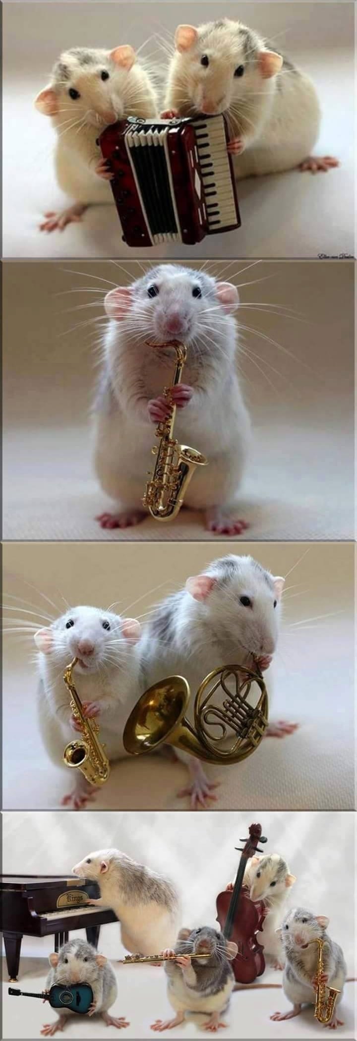 mala muzikalna družina :)))