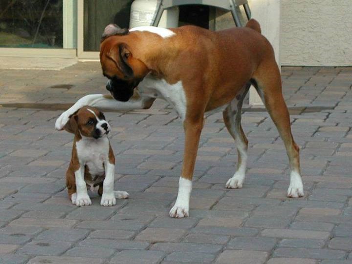 Ma dođi da te zagrlim maleni!