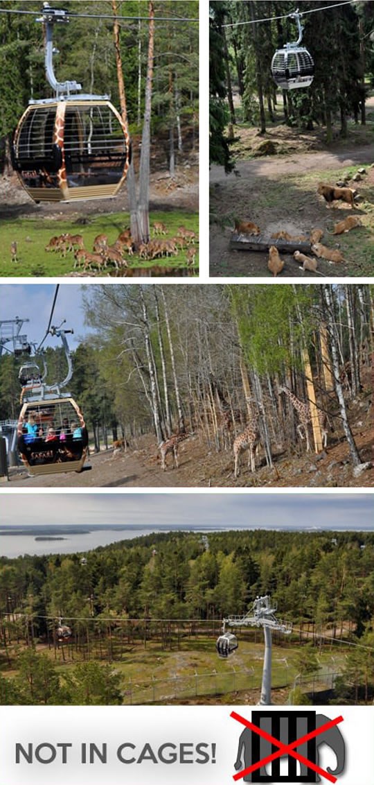 Konačno pobjeda razuma: Zoo vrt bez kaveza