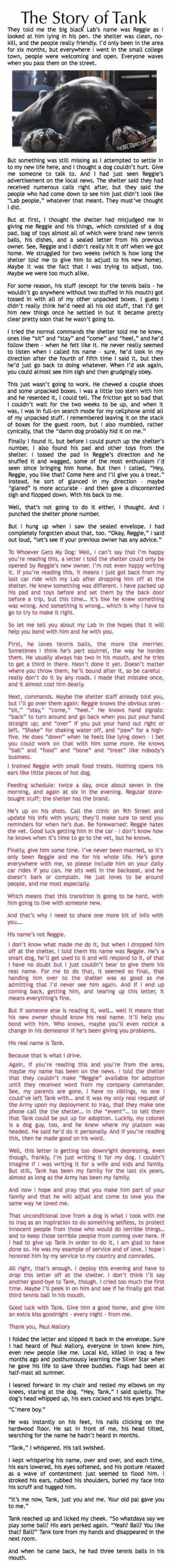 Dirljiva priča o ljubavi jednog psa