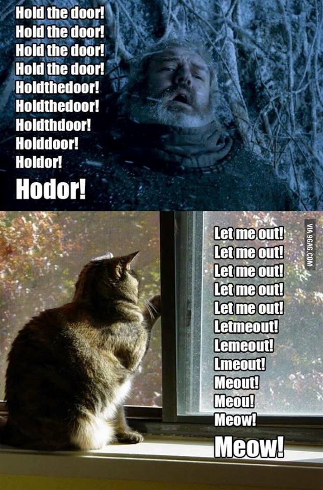 Hodor otkrio nastanak mačjeg "MJAU"