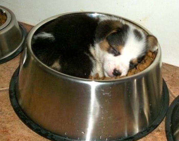 Bed & breakfast