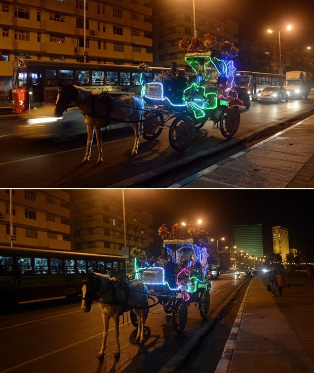 Indijske kočije okićene k'o božićne jelke