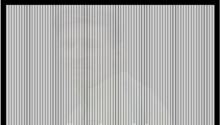 Test zapažanja: Tko se nalazi na slici?