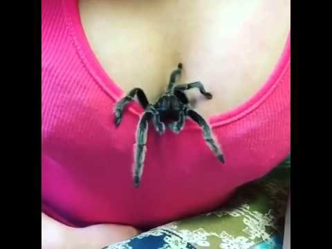 VIDEO: E, mala, imaš dobr.. AAAAAAAAAA!!!!