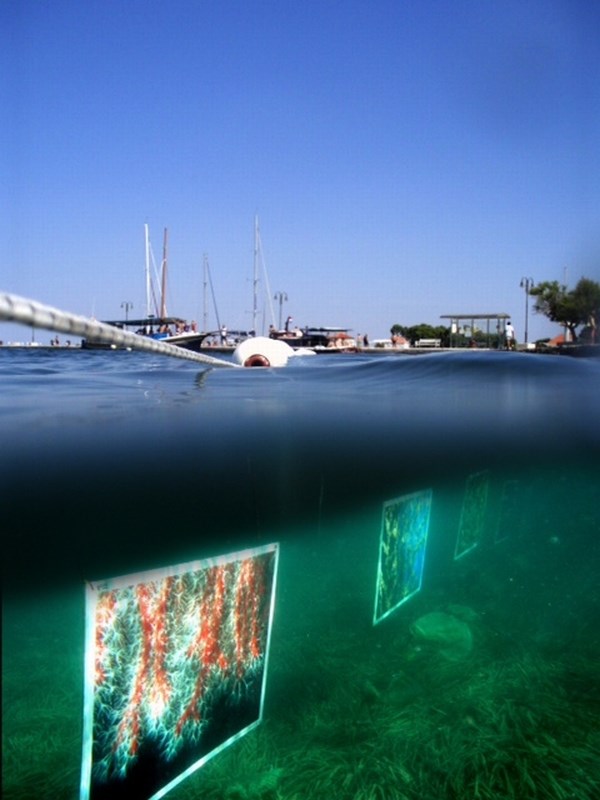 Podvodna izložba fotografija jadranskih koralja na Zlarinu