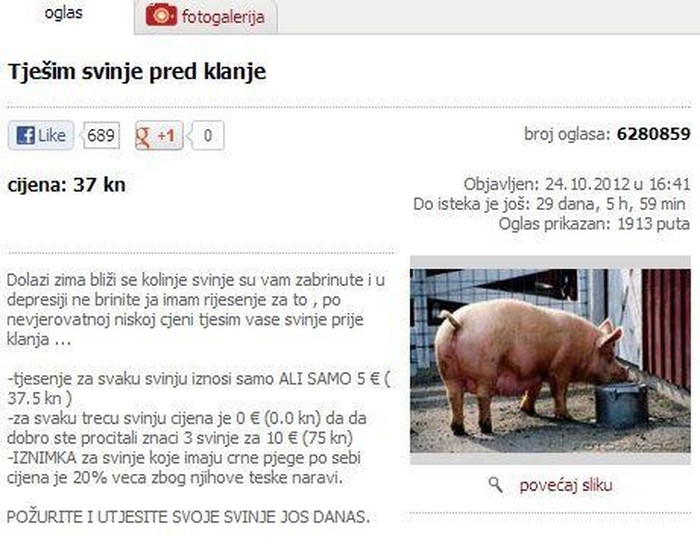 Tješi svinje pred klanje: Mirna duša, fino meso