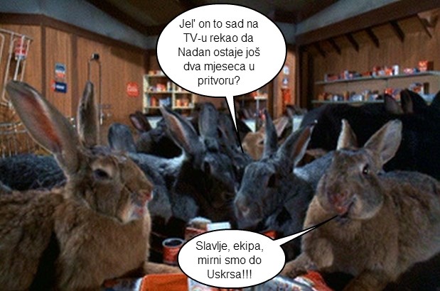 Uskršnji zeko odahnuo: Broji sitno do Nadanovog izlaska