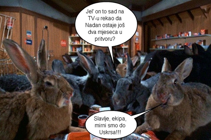 Uskršnji zeko odahnuo: Broji sitno do Nadanovog izlaska