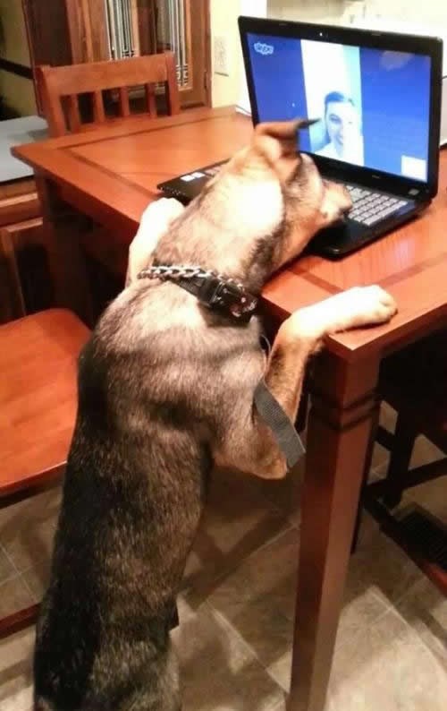 Skype spaja najbolje prijatelje