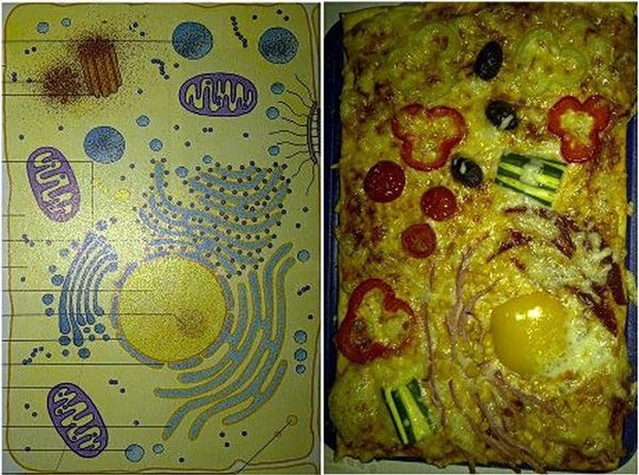 Pizza za kreativce u obliku - stanice