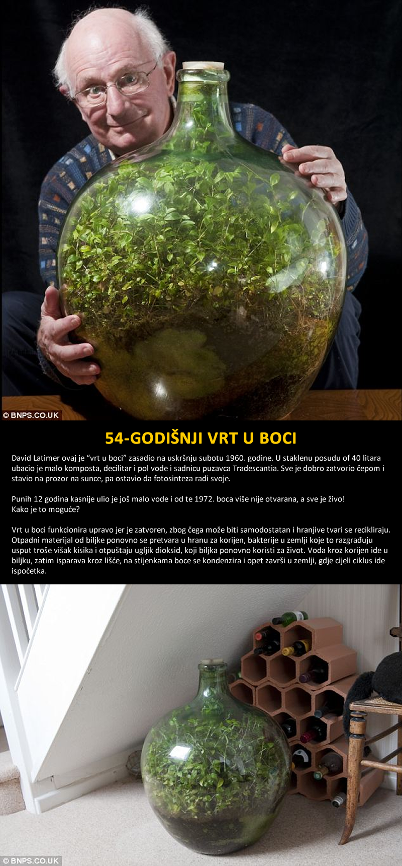 Vrt u boci preživio 54 godine bez zalijevanja!