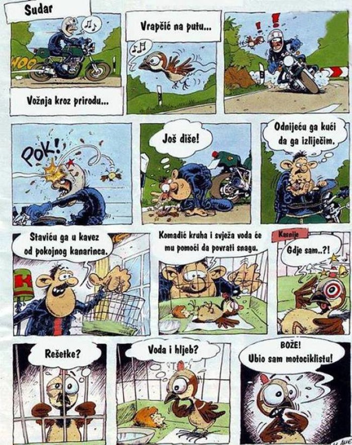 Noćna mora jednog vrapca
