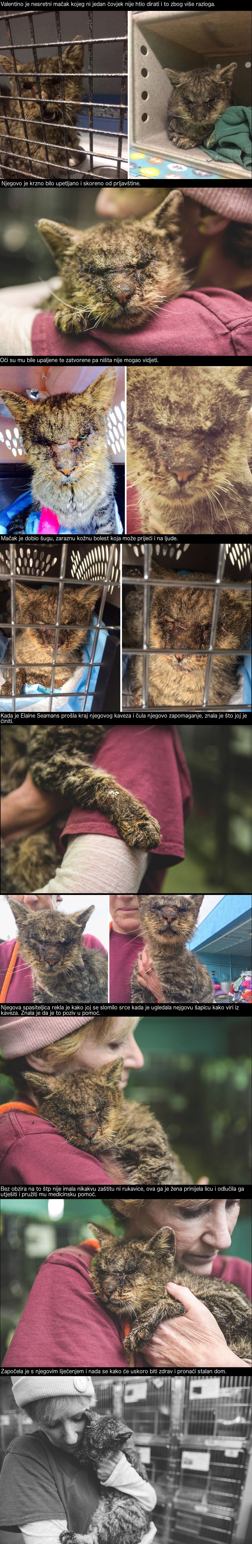 Ovoga mačka nitko nije htio dotaknuti, no ova mu je žena odlučila pomoći