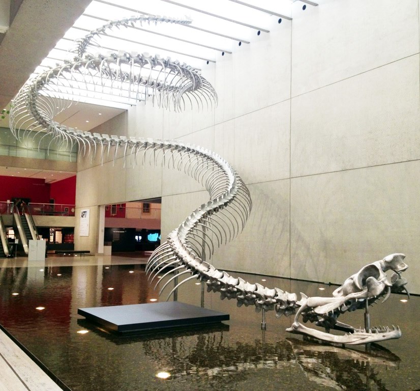 Najveća, najduža i najteža zmija ikad: Titanoboa