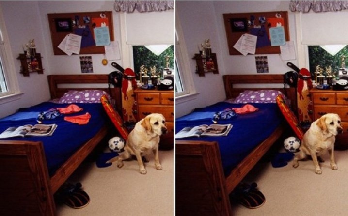 Pronađite 5 razlika: Zabavite se i opustite uz igru istaživanja.