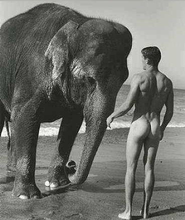 Stari moj, kako ti dišeš preko te male surlice?