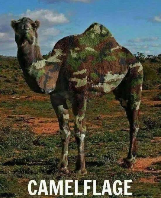 Borbena deva žeđa za bitkom