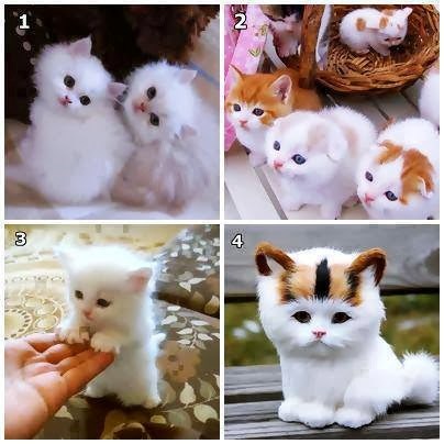 Koje su slađe: Izaberi jedan broj, neće pogriješiti