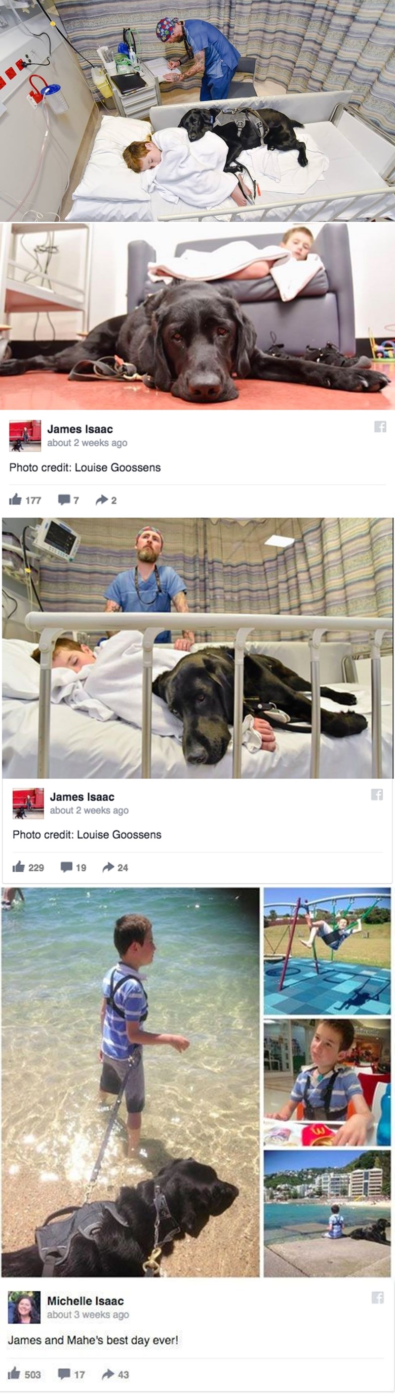 DIRLJIV TRENUTAK u kojem je zasjalo dobro pseće srce: Bolesnog dječaka čuva kao najveće blago