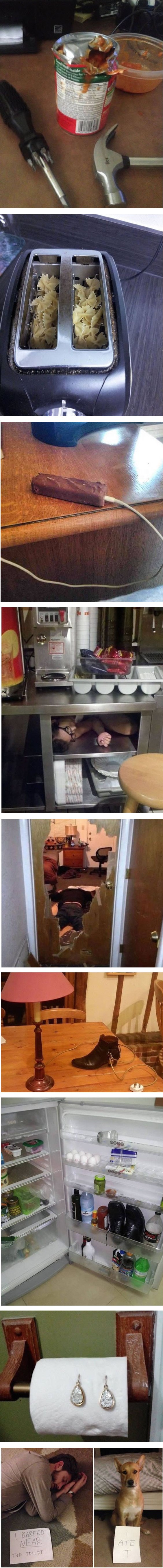 Pijani ljudi rade nelogične stvari, a ova urnebesna galerija to potvrđuje