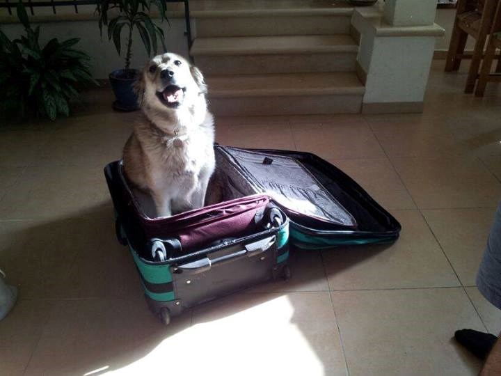 Gazda, ja sam spreman za ići na put s tobom!