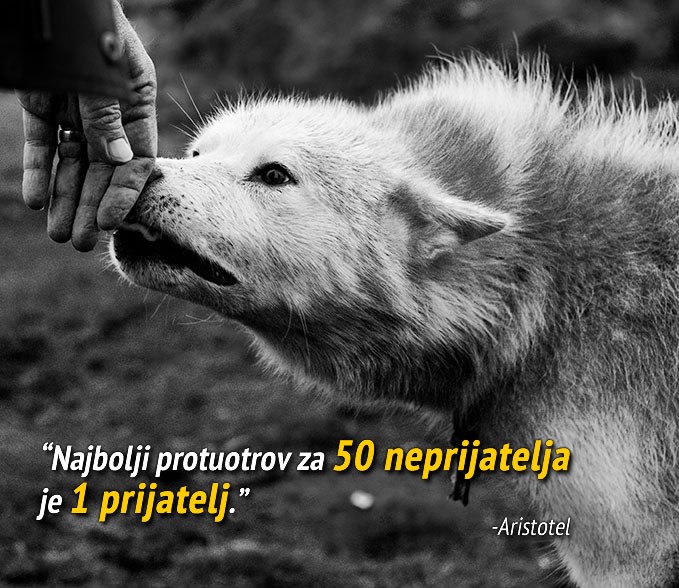 Jedan frend ti popravi sve što neprijatelji unište