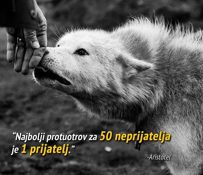 Jedan frend ti popravi sve što neprijatelji unište