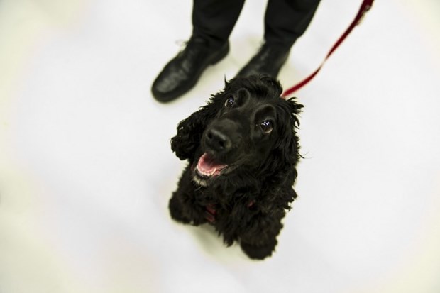 Ti mene fotkaš? Jel' da sam krasna?