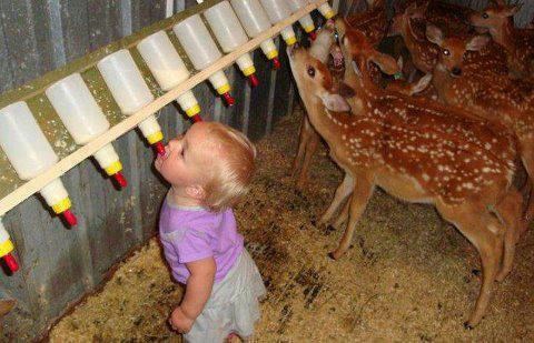 Bebač i hrpa bambija doručkuju mlijeko iz bočica