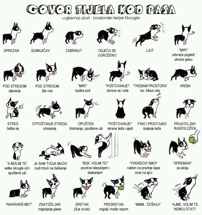 Nauči "pseći jezik"!